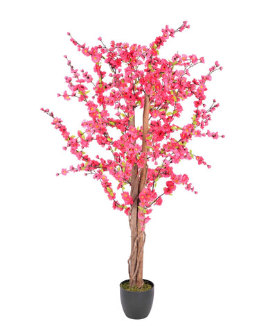 5 Feet Dark Pink Blossom Trees