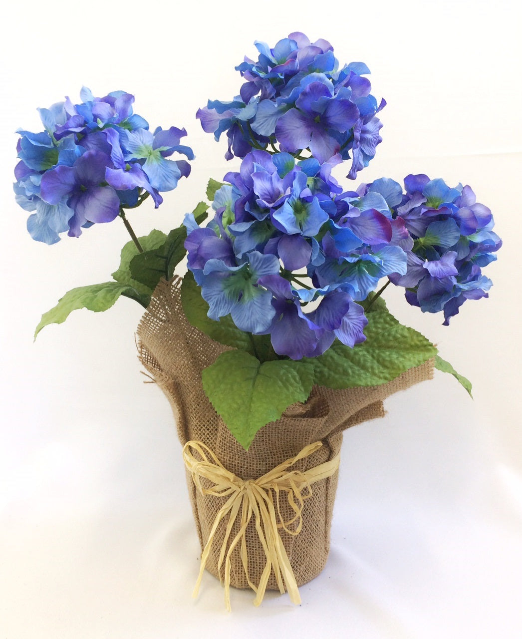 Blue Hydrangea In Burlap