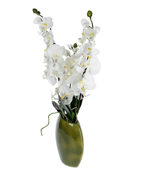 Cream Orchid with green vase