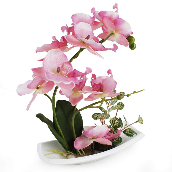 Pink Orchid with white porcelain vase