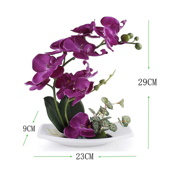 Purple Orchid with porcelain vase