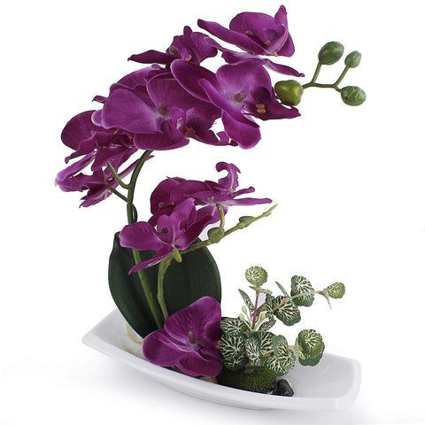 Purple Orchid with porcelain vase