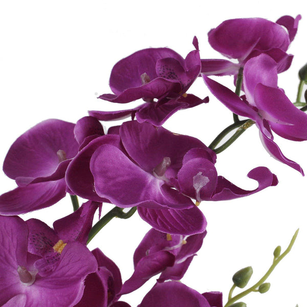 Purple Orchid with porcelain vase