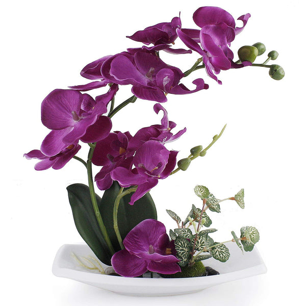 Purple Orchid with porcelain vase