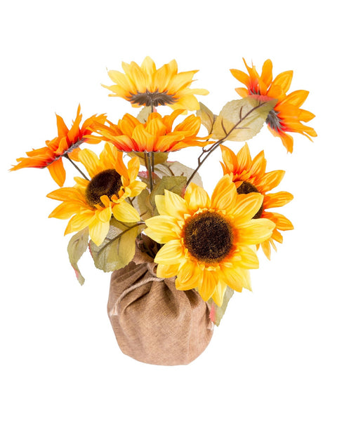 Sunflower In Burlap