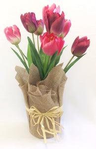 Tulip In Burlap